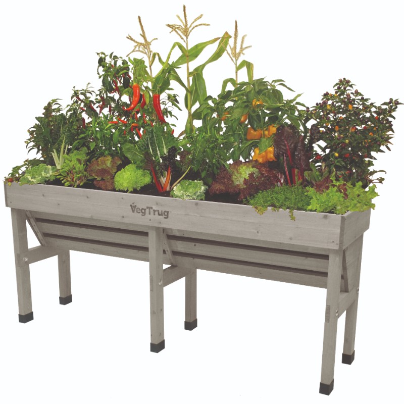 vegtrug wall hugger medium planter filled with produce
